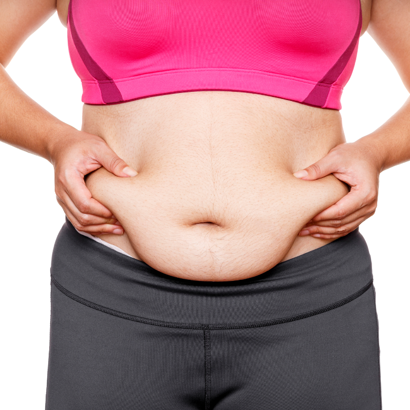 Get Rid of Apron Belly Exercises and Diet Plan milkdust
