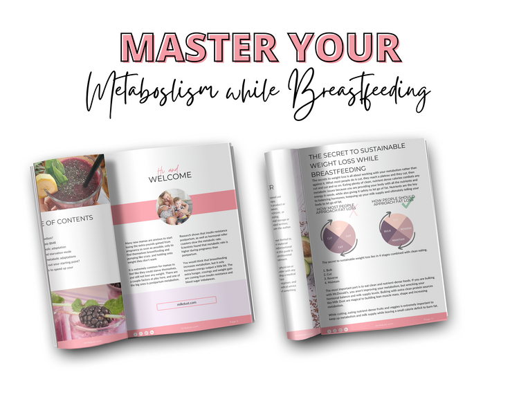 Master Your Metabolism While Breastfeeding - eBook