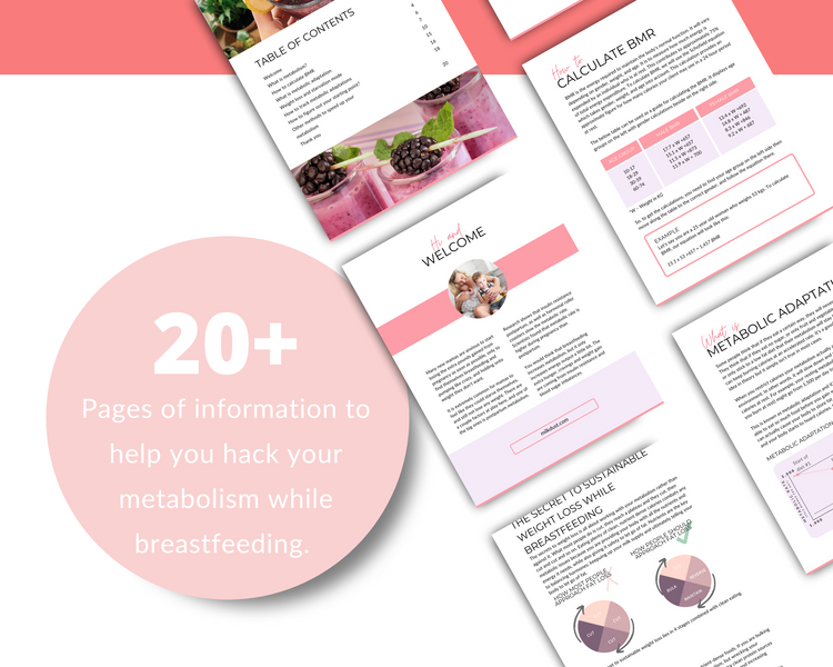 Master Your Metabolism While Breastfeeding - eBook