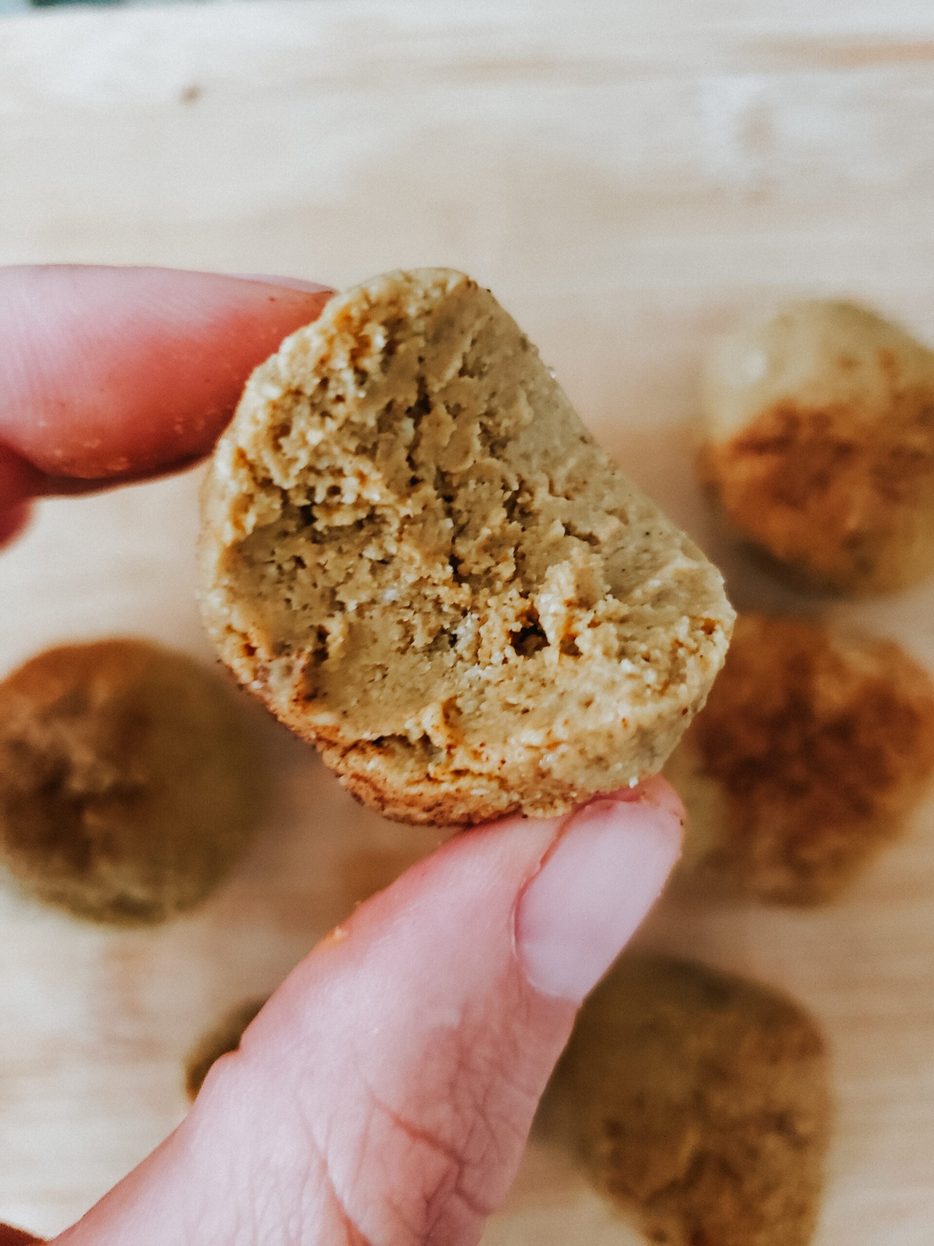 Skinny Pumpkin Pie Lactation Bites