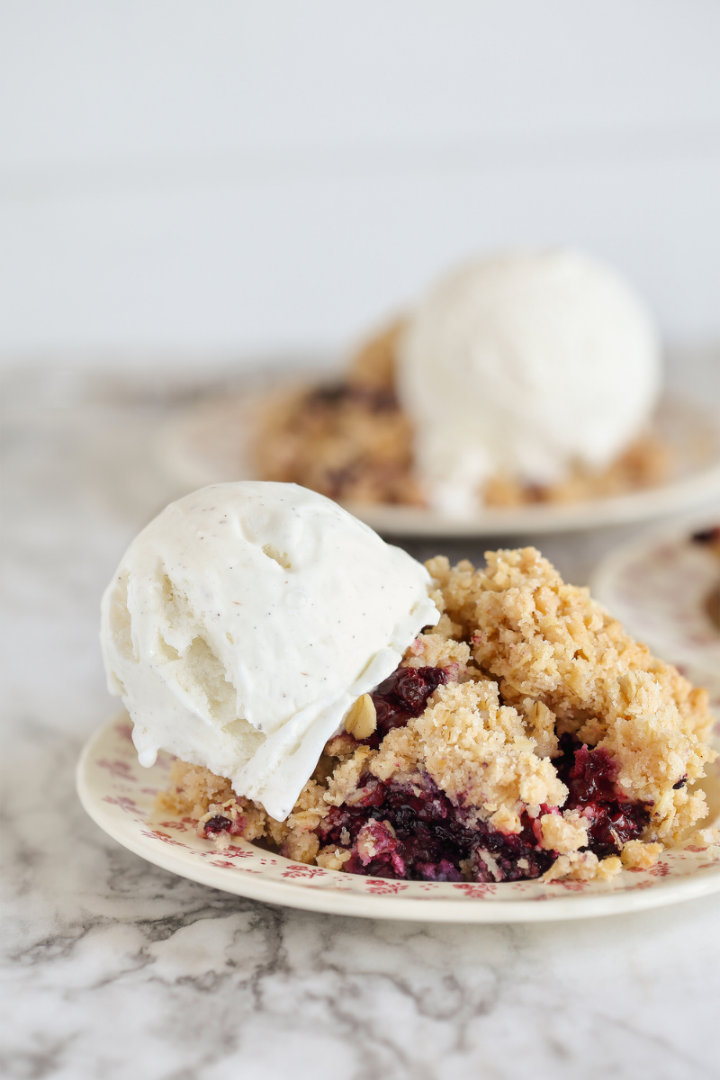 Lactation Blueberry Crumble Bars